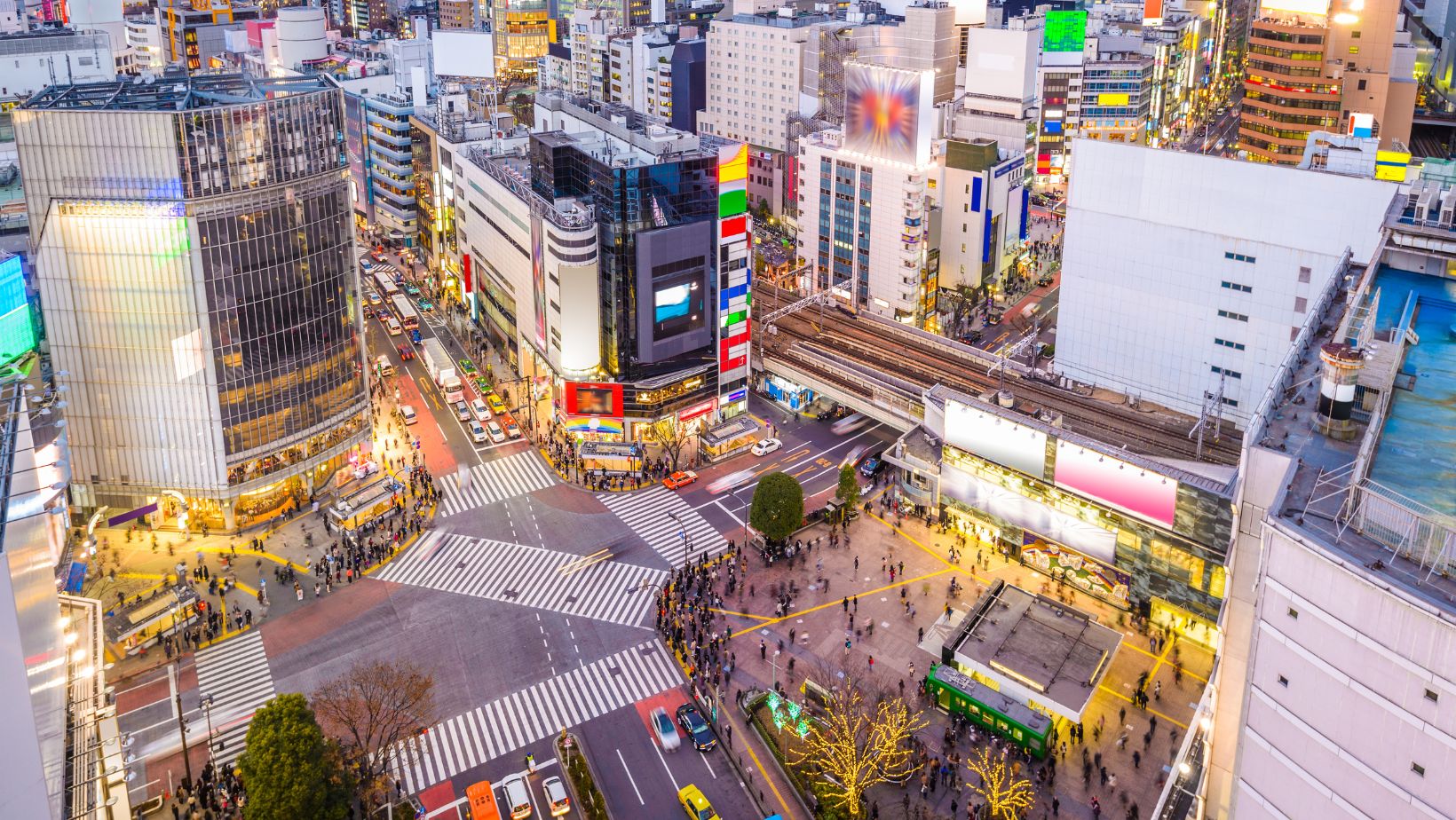ProWine Tokyo 2024